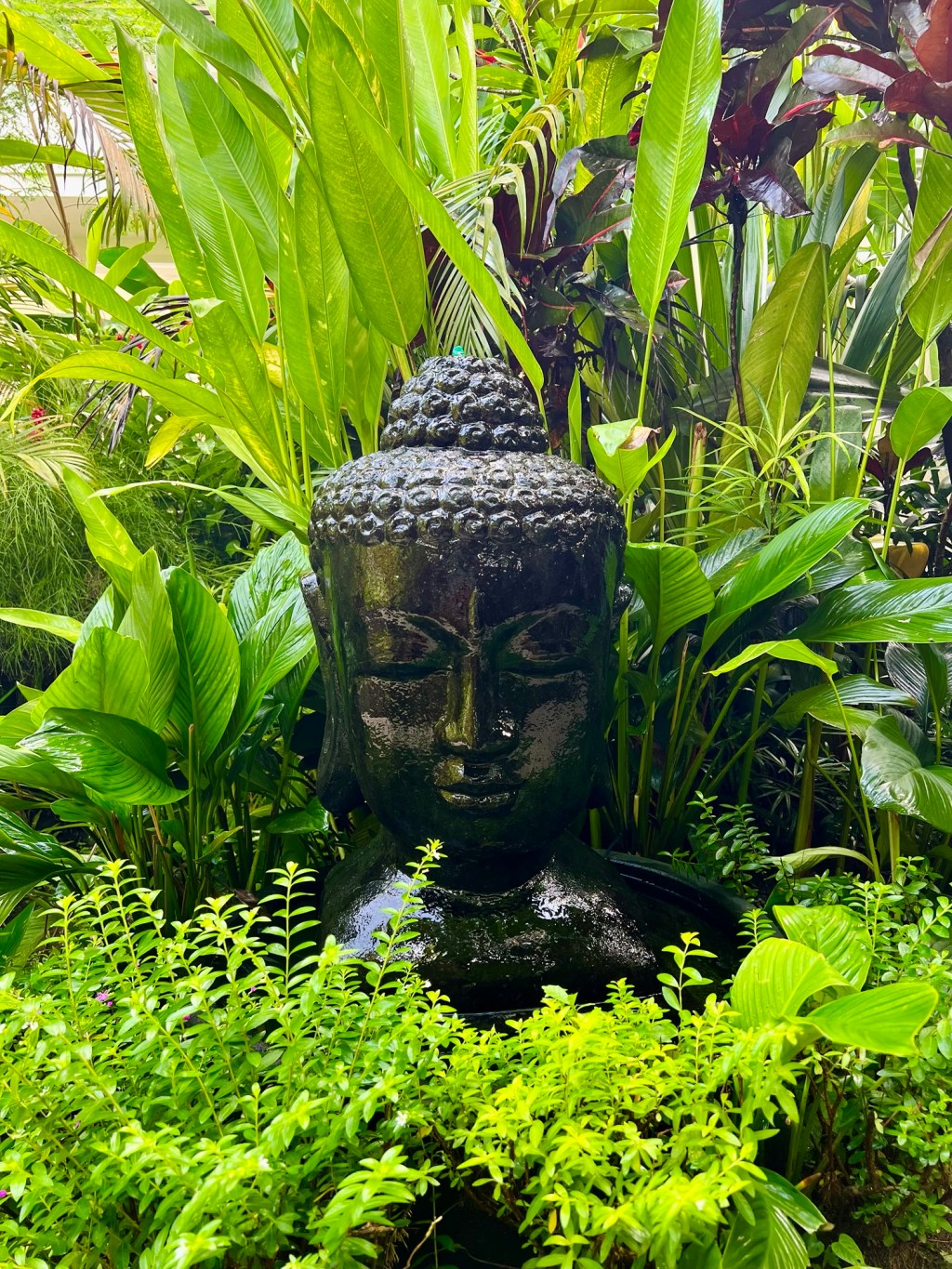 Bali Bliss: Chasing Paradise from Nusa Penida’s Cliffs to Ubud’s&nbsp;Jungles